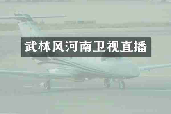 武林风河南卫视直播