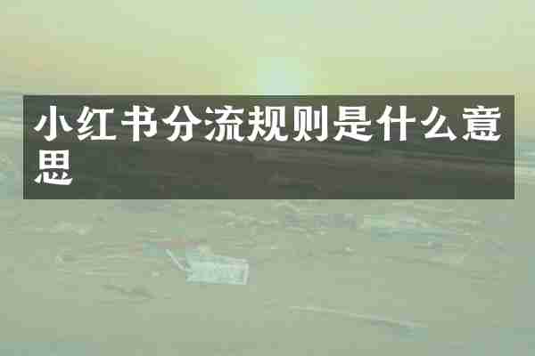 小红书分流规则是什么意思