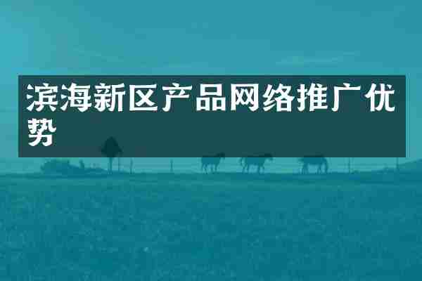 滨海新区产品网络推广优势