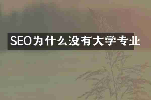SEO为什么没有大学专业