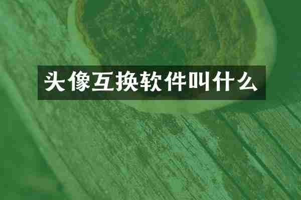 头像互换软件叫什么