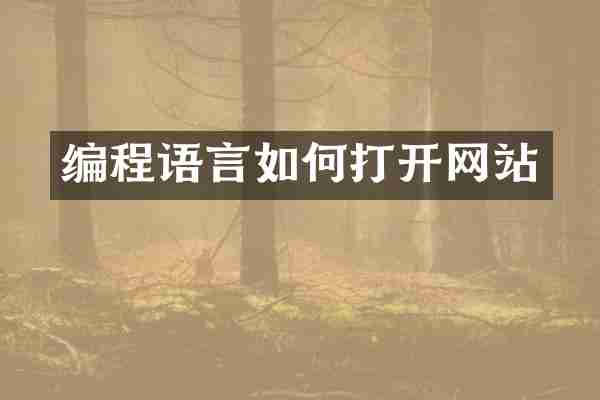 编程语言如何打开网站