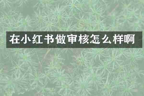 在小红书做审核怎么样啊