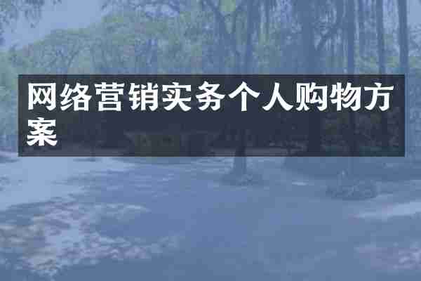 网络营销实务个人购物方案