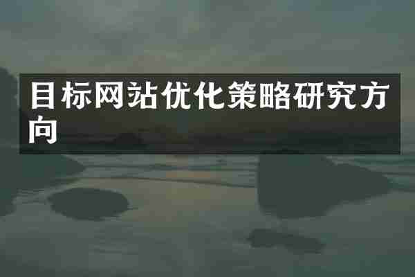 目标网站优化策略研究方向