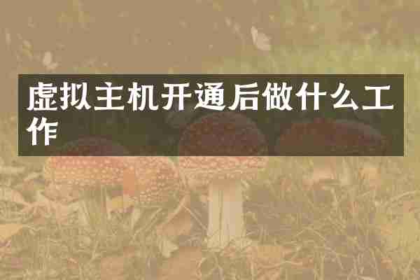 虚拟主机开通后做什么工作