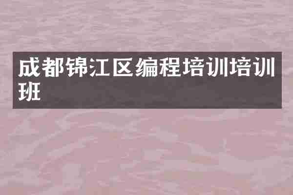 成都锦江区编程培训培训班