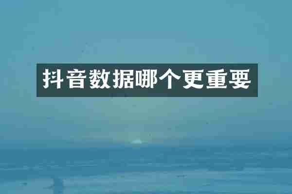 抖音数据哪个更重要