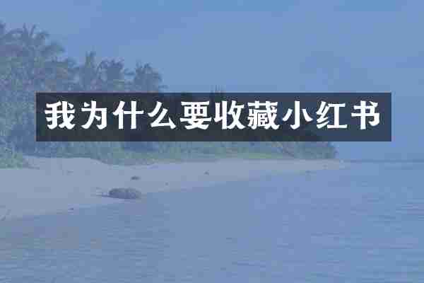 我为什么要收藏小红书