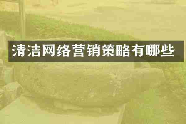 清洁网络营销策略有哪些