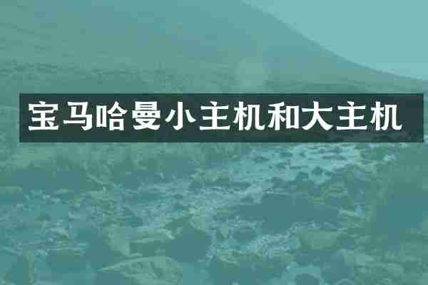 宝马哈曼小主机和大主机