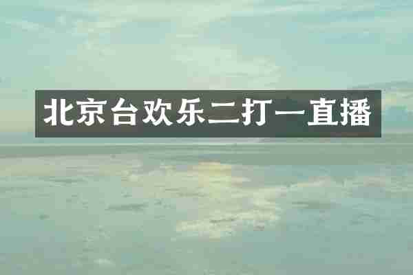 北京台欢乐二打一直播