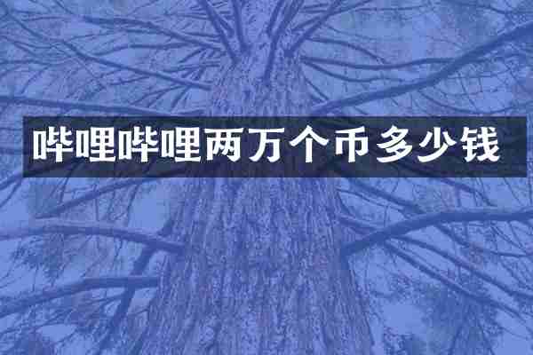 哔哩哔哩两万个币多少钱