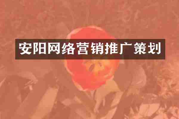 安阳网络营销推广策划