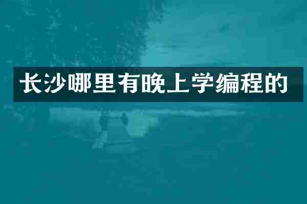 长沙哪里有晚上学编程的