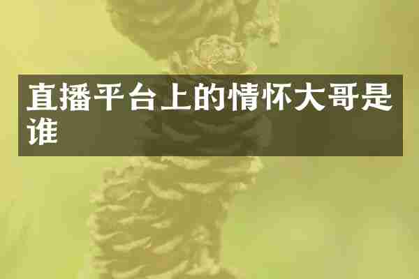 直播平台上的情怀大哥是谁