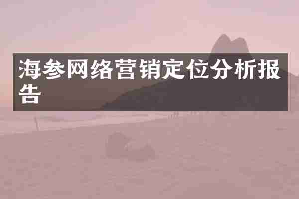 海参网络营销定位分析报告