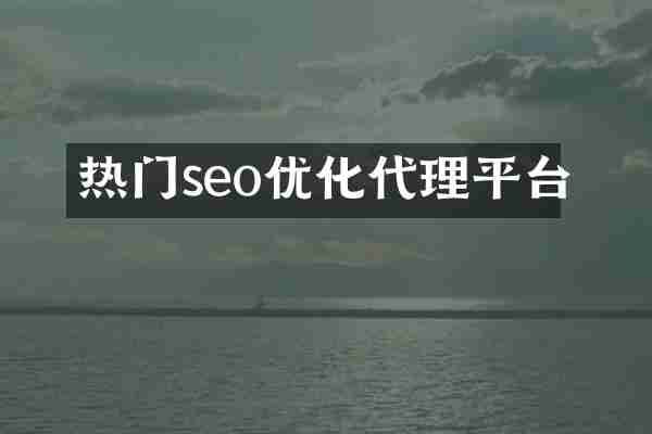 热门seo优化代理平台