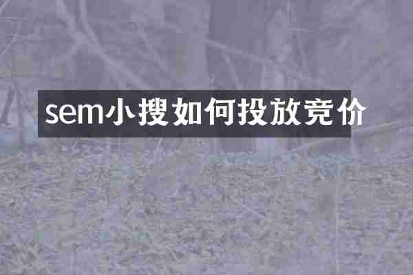 sem小搜如何投放竞价