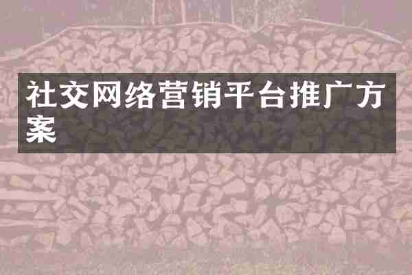 社交网络营销平台推广方案