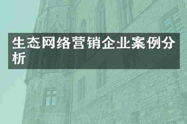 生态网络营销企业案例分析
