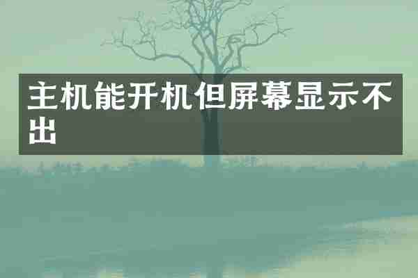 主机能开机但屏幕显示不出