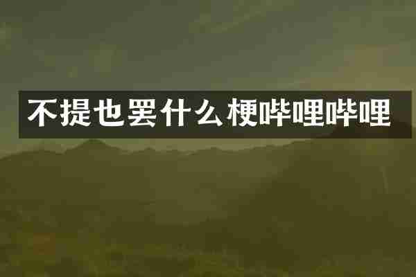 不提也罢什么梗哔哩哔哩