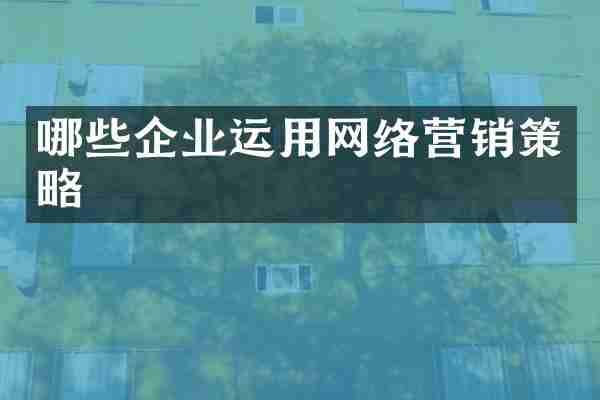 哪些企业运用网络营销策略