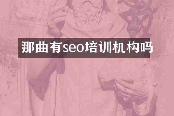 那曲有seo培训机构吗