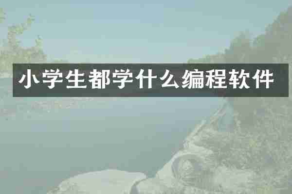 小学生都学什么编程软件