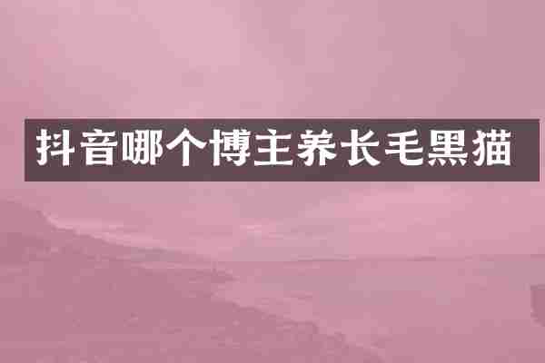 抖音哪个博主养长毛黑猫