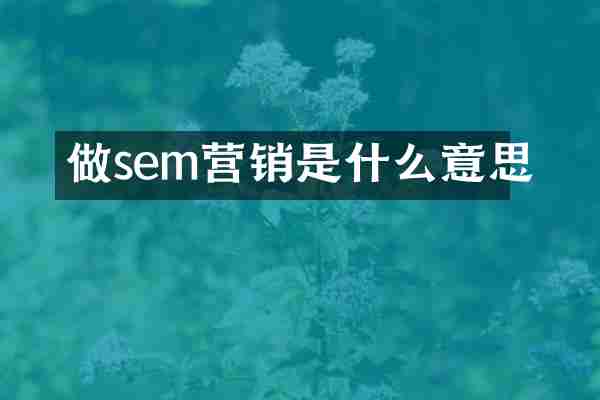 做sem营销是什么意思