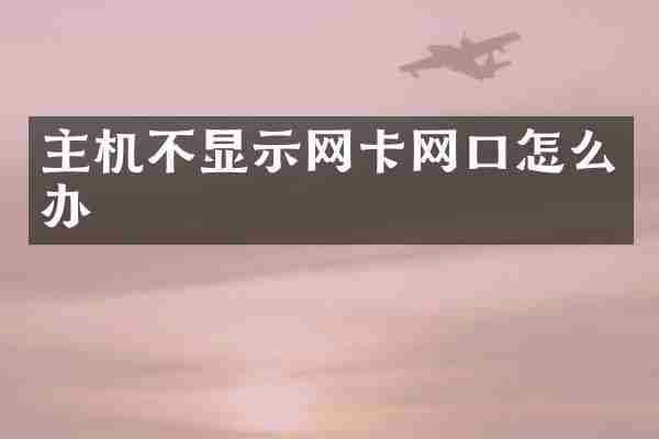 主机不显示网卡网口怎么办
