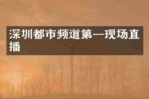 深圳都市频道第一现场直播