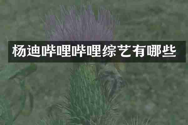 杨迪哔哩哔哩综艺有哪些