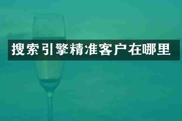 搜索引擎精准客户在哪里