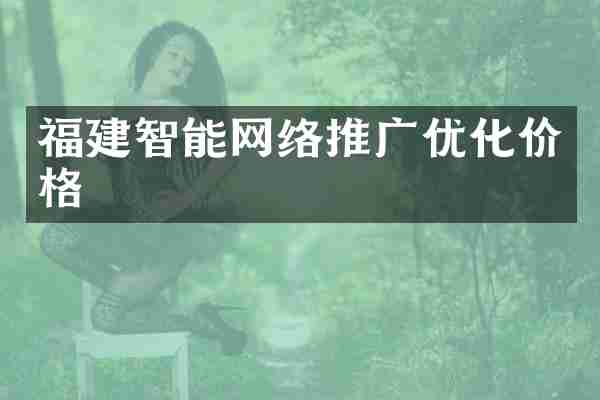 福建智能网络推广优化价格