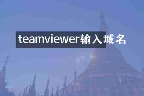 teamviewer输入域名