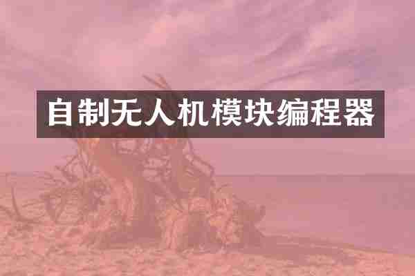 自制无人机模块编程器