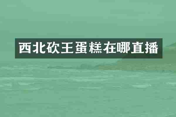 西北砍王蛋糕在哪直播