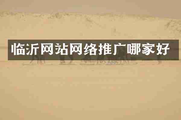 临沂网站网络推广哪家好