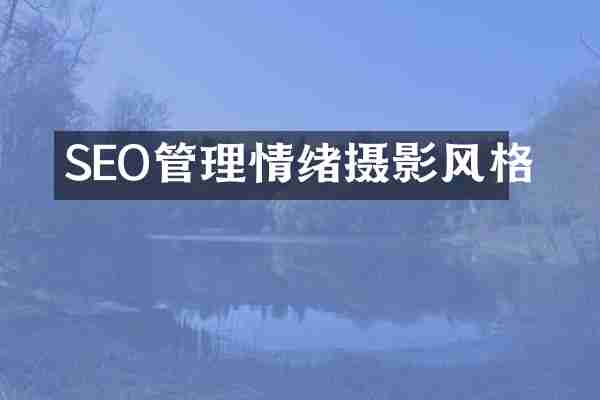 SEO管理情绪摄影风格