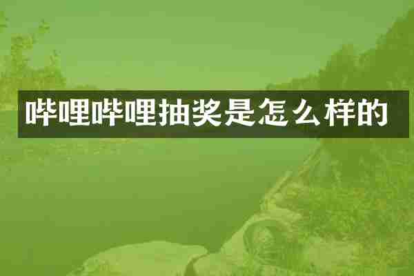 哔哩哔哩抽奖是怎么样的