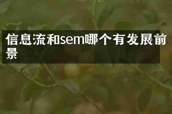 信息流和sem哪个有发展前景