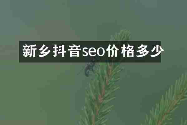 新乡抖音seo价格多少