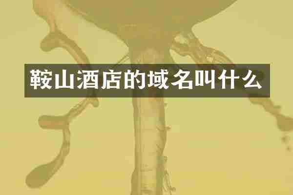 鞍山酒店的域名叫什么