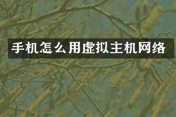 手机怎么用虚拟主机网络