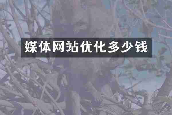 媒体网站优化多少钱