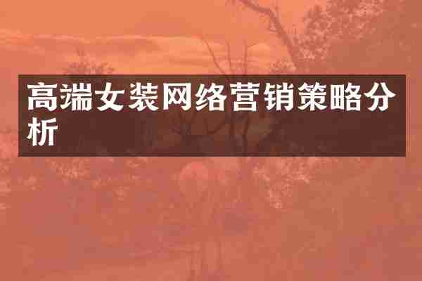 高端女装网络营销策略分析