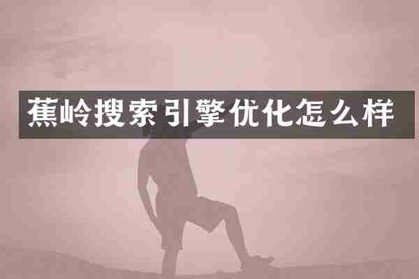 蕉岭搜索引擎优化怎么样